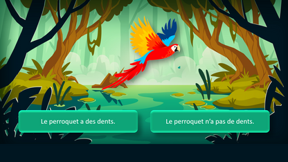 Sur le chemin des phrases - Affirmatives / négatives dans la jungle