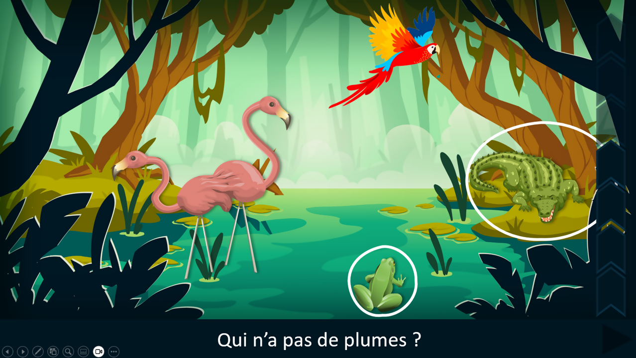 Sur le chemin des phrases - affirmatives et négatives VERSION COMPLETE