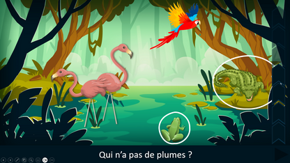 Sur le chemin des phrases - affirmatives et négatives VERSION COMPLETE
