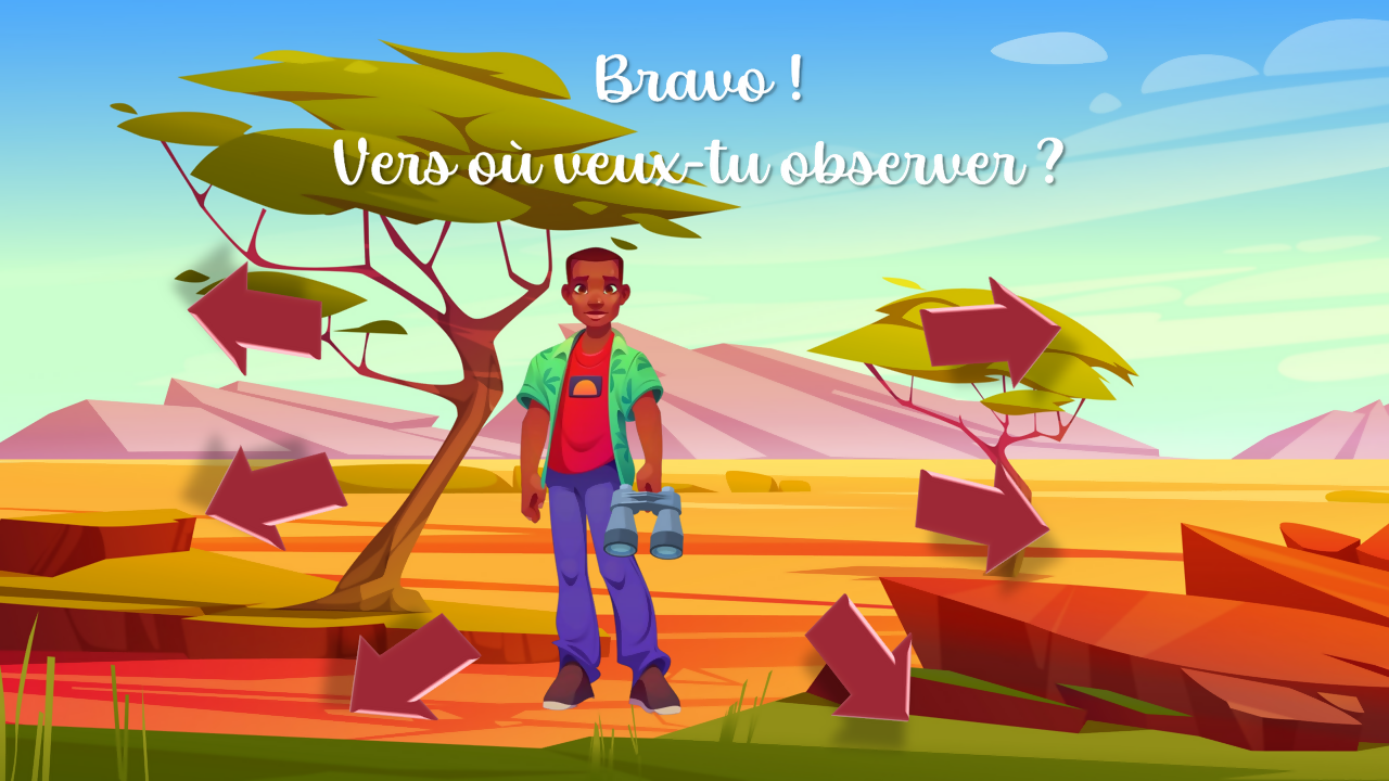 🎲 Parcours dans la savane