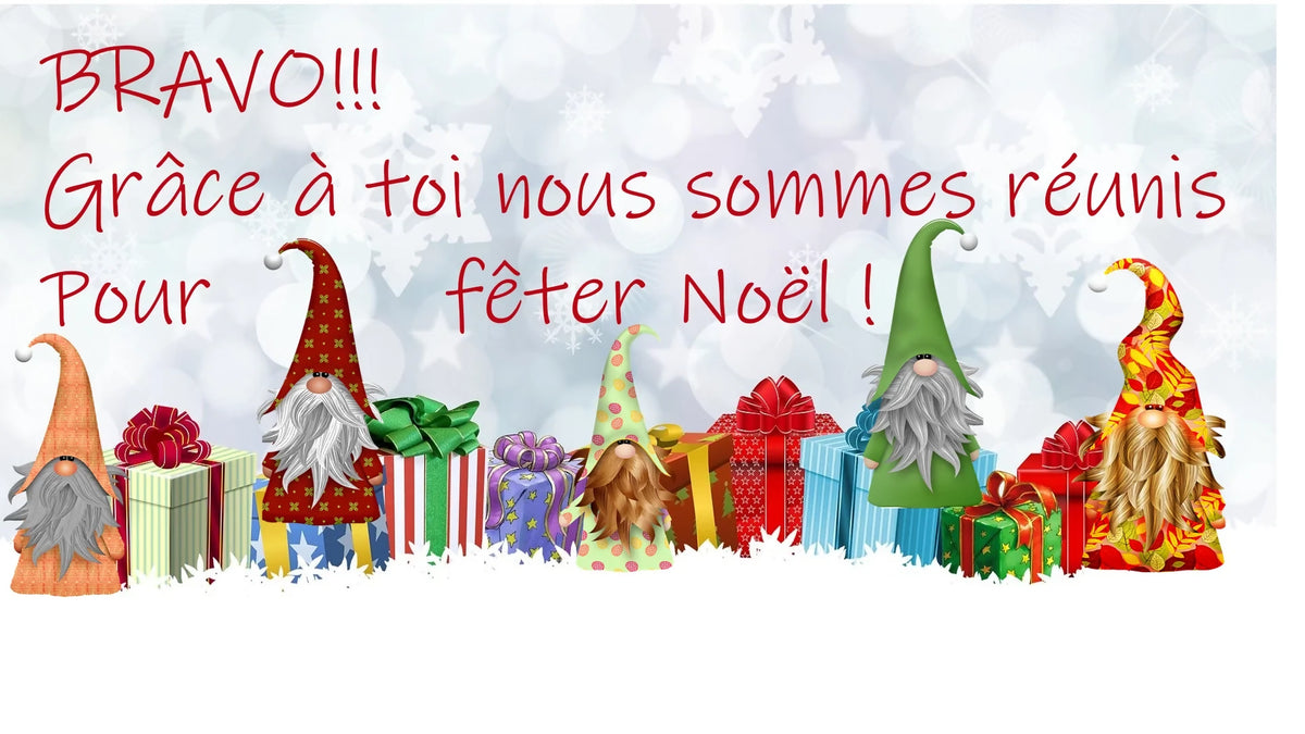 Bienvenue chez les lutins_ mémory_10