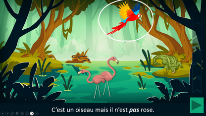 Sur le chemin des phrases - affirmatives et négatives VERSION COMPLETE