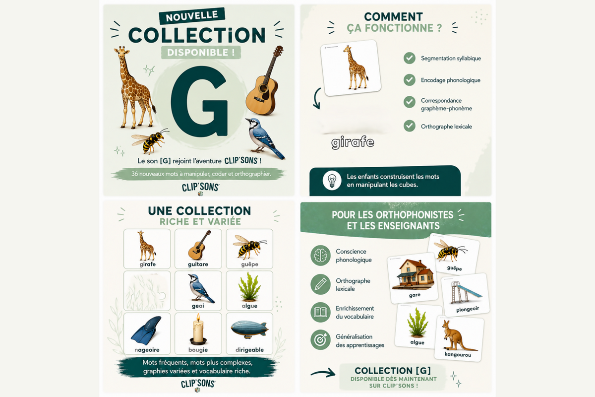 COLLECTION CLIP&