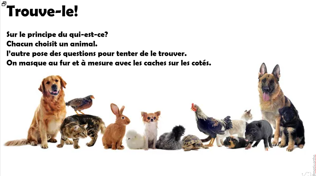 Pack Trouve-le!