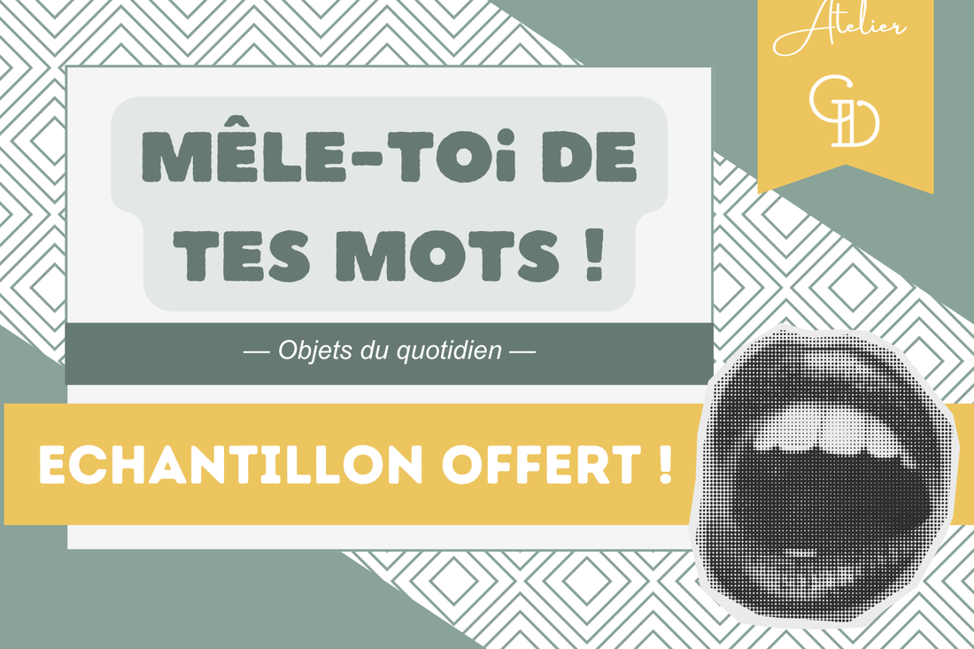 [ÉCHANTILLON OFFERT] Mêle-toi de tes mots ! — Objets du quotidien