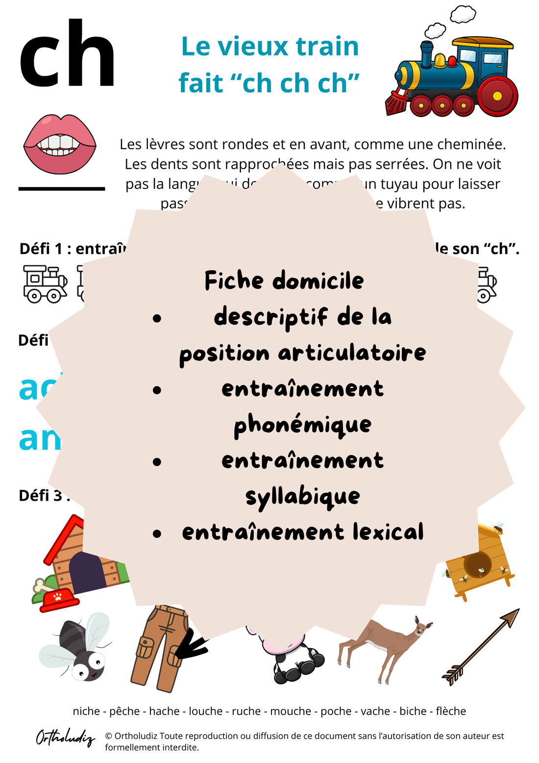 Fiche entraînement à domicile ch final