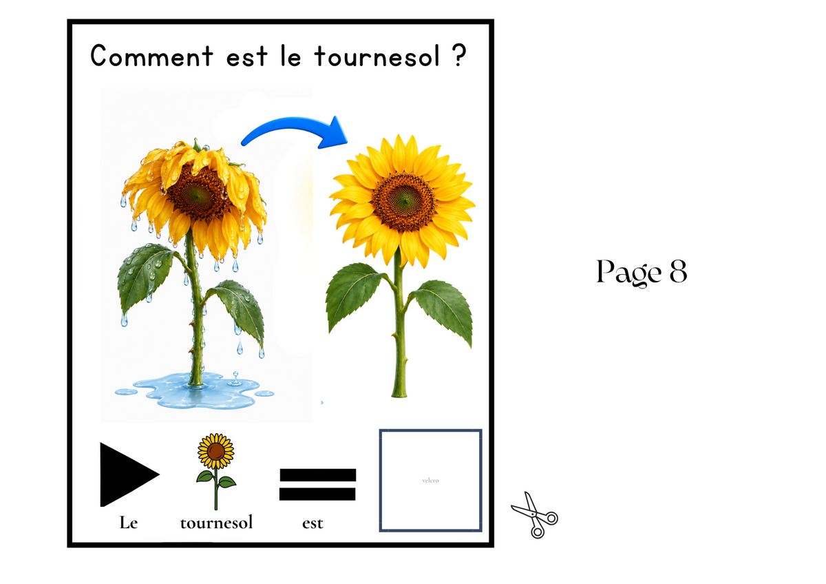 Livre Adapté en CAA, Adjectif "sec"