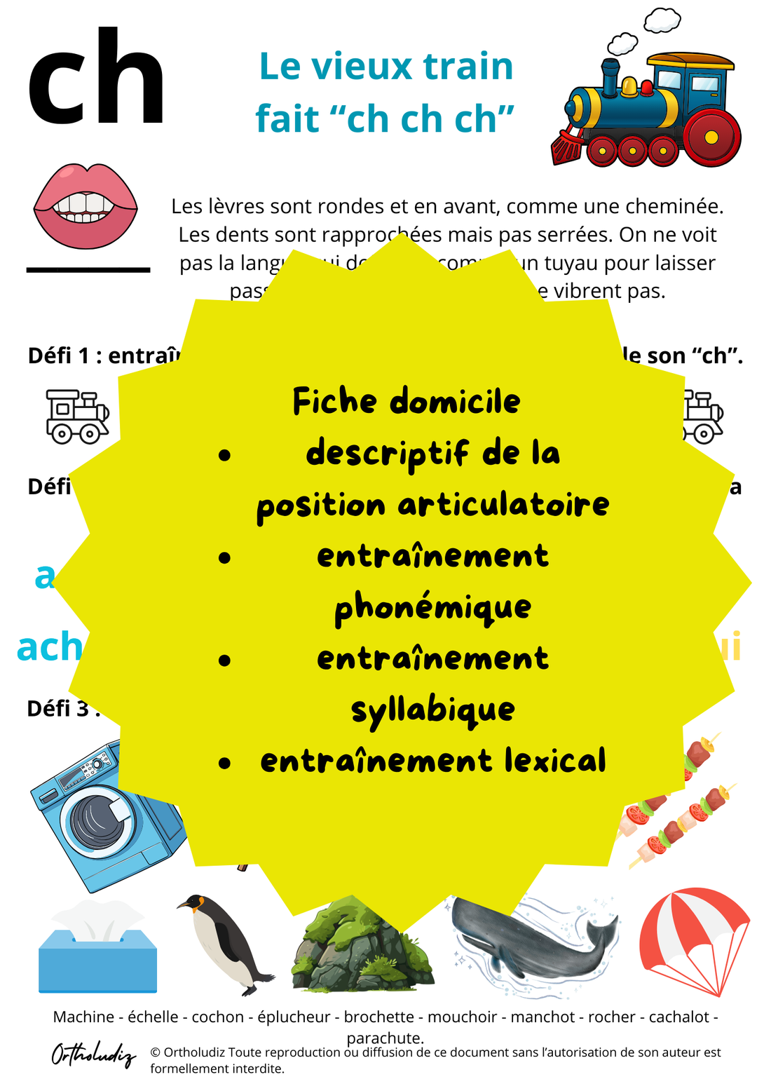Fiche d&