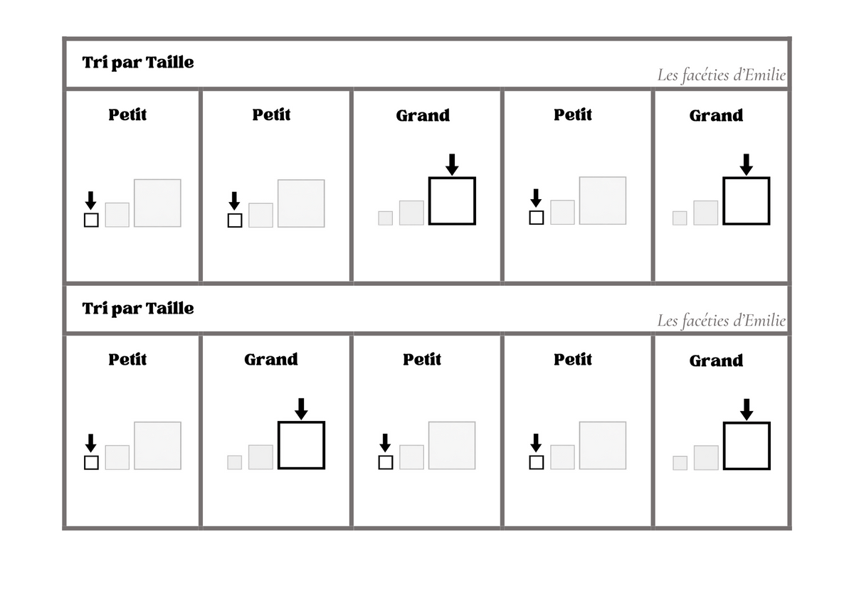 Atelier de tri : couleur, taille et quantité