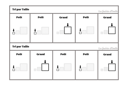Atelier de tri : couleur, taille et quantité