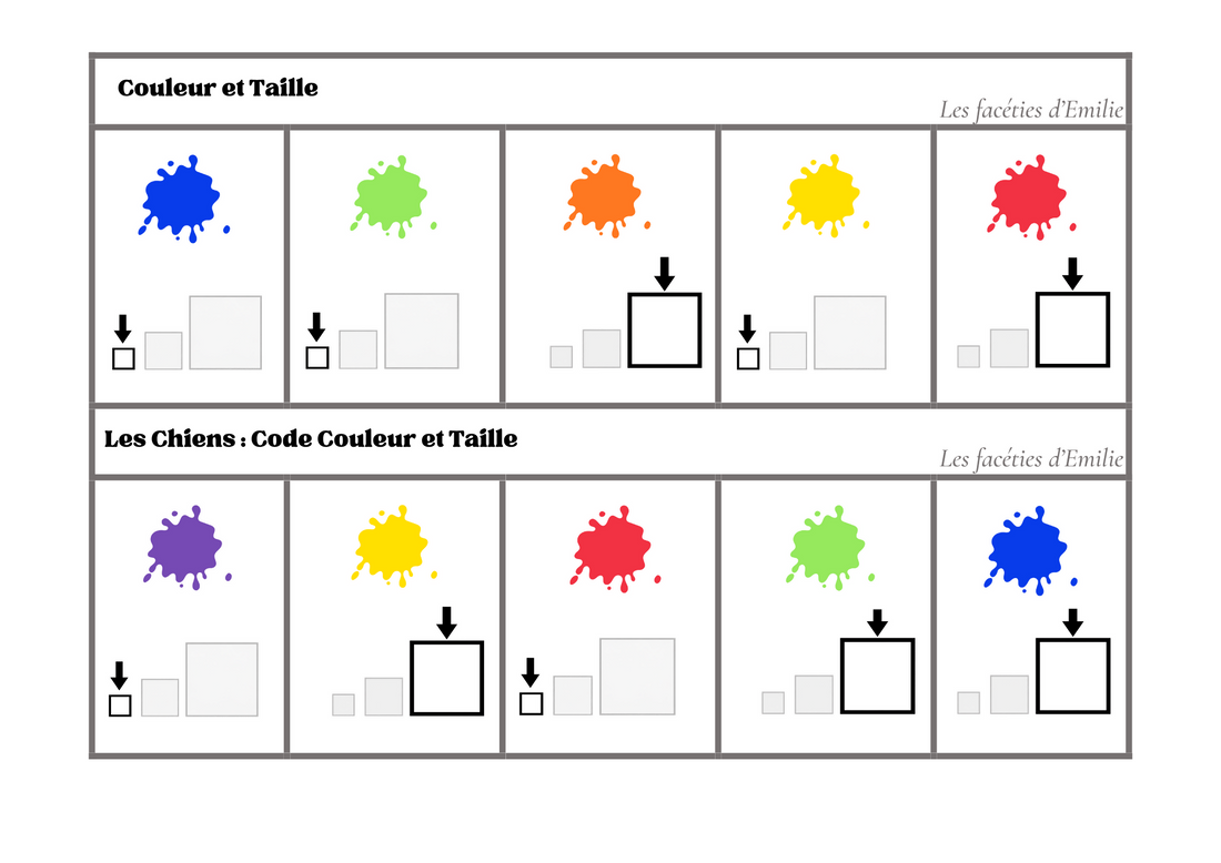 Atelier de tri : couleur, taille et quantité