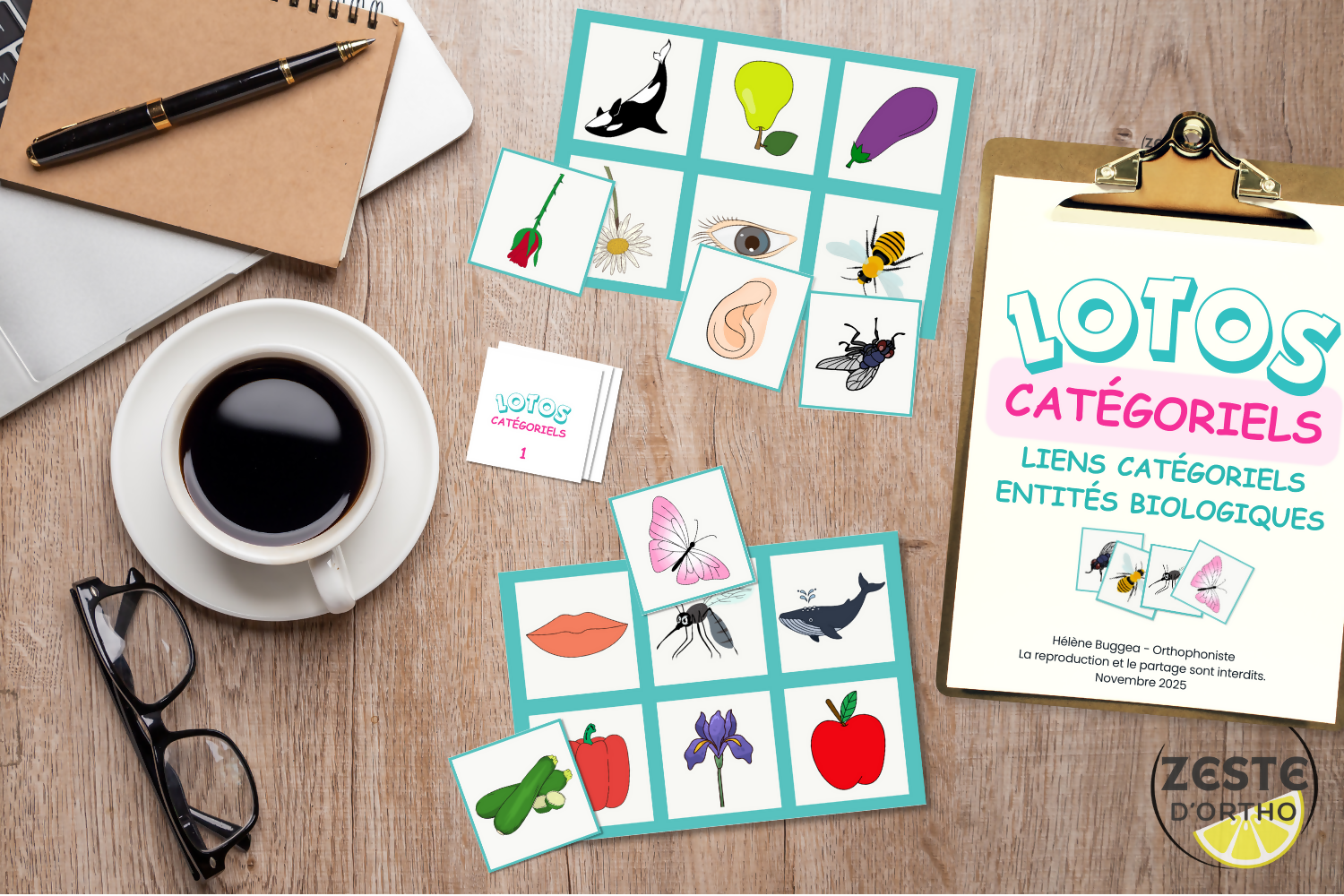 Lotos catégoriels (96 entités biologiques)