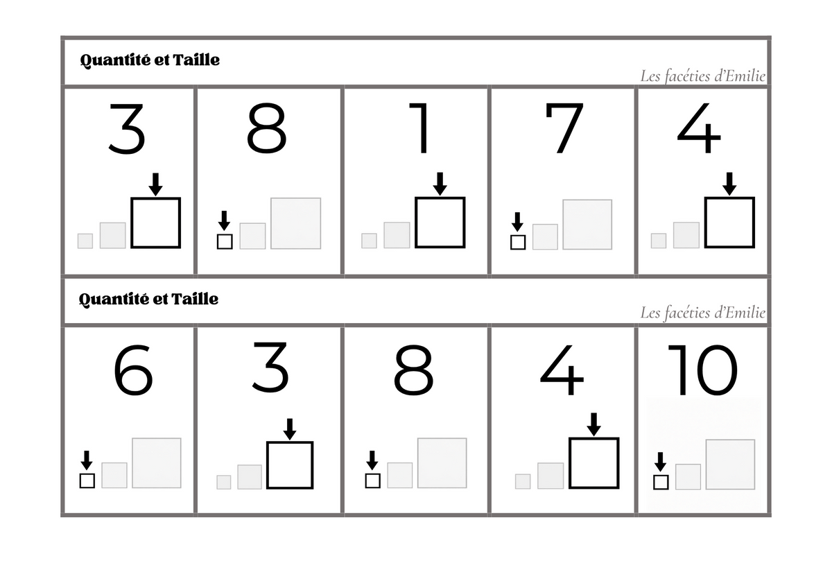 Atelier de tri : couleur, taille et quantité