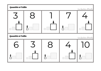 Atelier de tri : couleur, taille et quantité