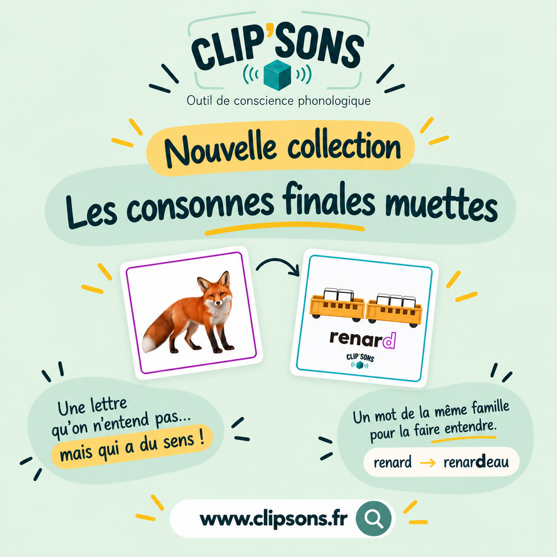 COLLECTION CLIP&