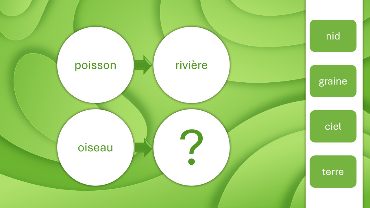 🧠 Analogies en action